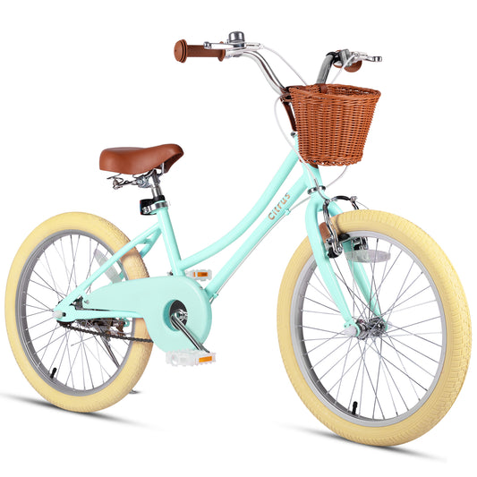 Vollsch Kids Bike for Girls 20 Inch