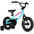 BMX style bike